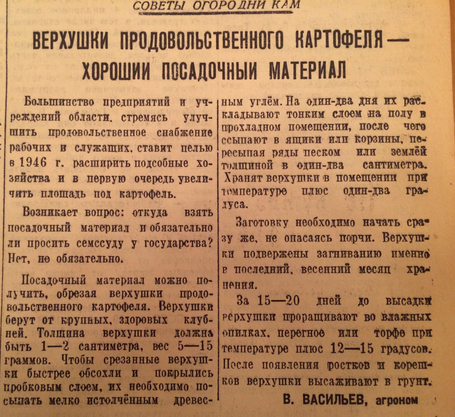 Послевоенный Псков. Часть 11. Хлеб и тошнотики